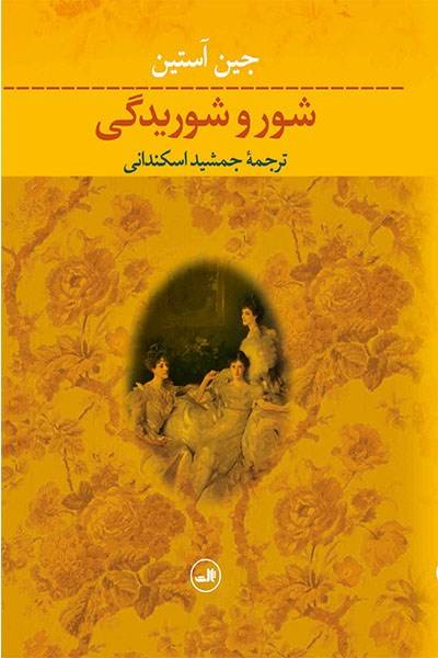 کاور کتاب شور و شوریدگی