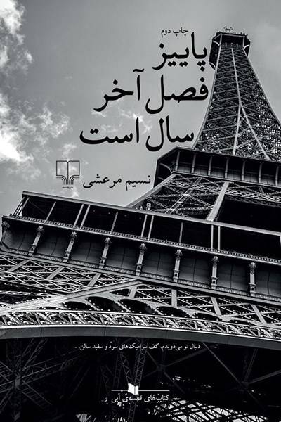 کاور کتاب ‫پاییز فصل آخر سال است‬&zwnj;‫