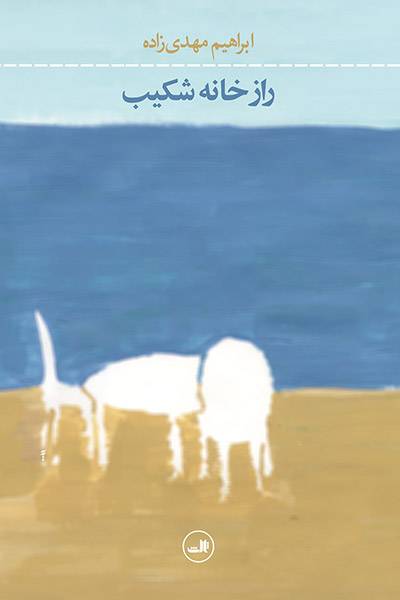 کاور کتاب راز خانه شکیب