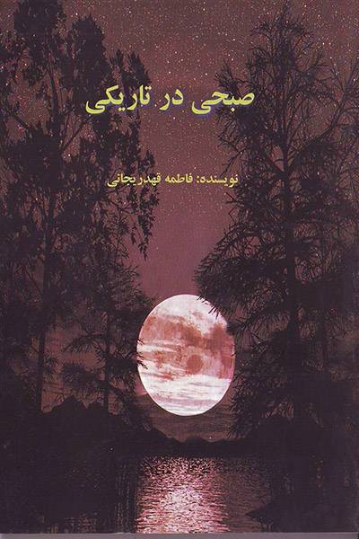 کاور کتاب صبحی در تاریکی