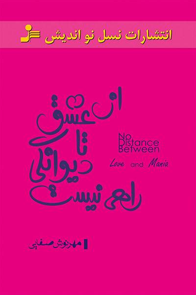 کاور کتاب از عشق تا دیوانگی راهی نیست