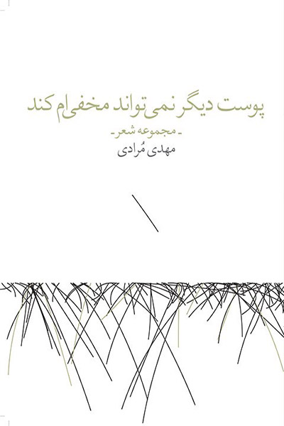 کاور کتاب پوست دیگر نمی‌تواند مخفی‌ام کند